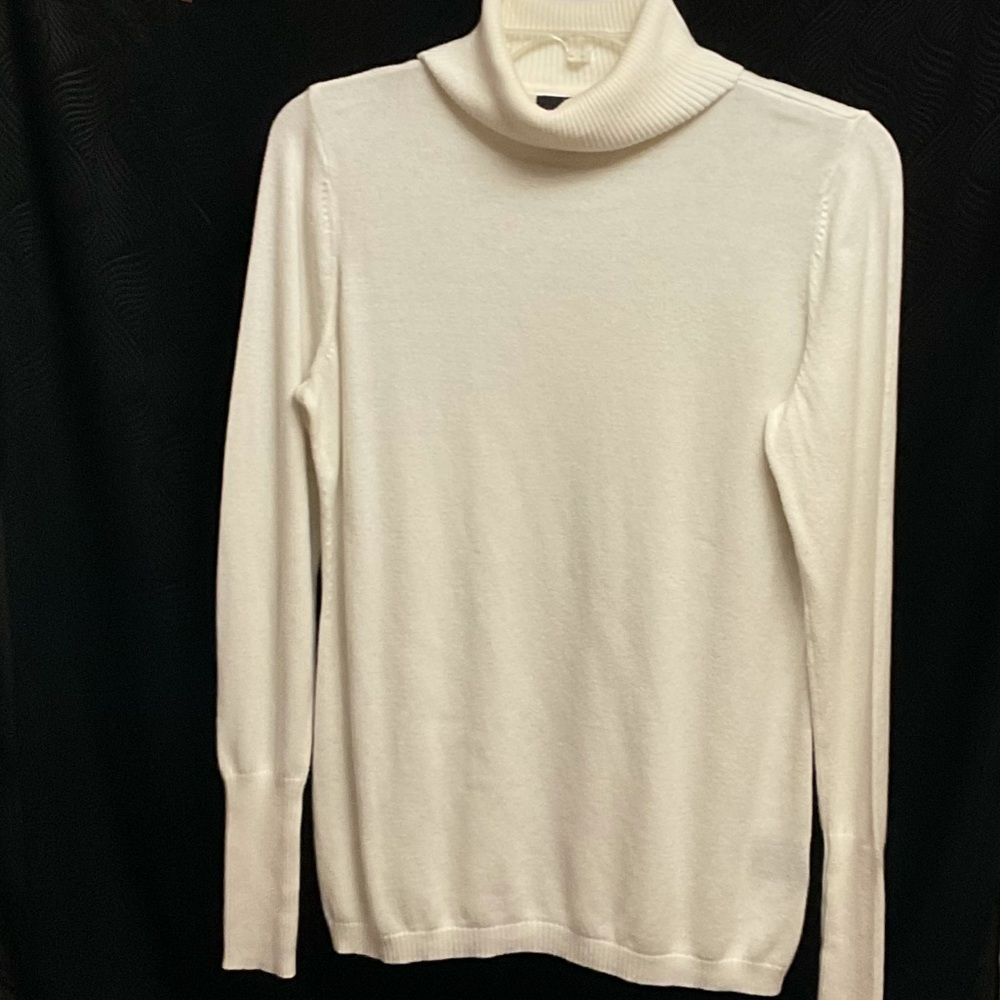 Worthington Turtle-Neck Sweater